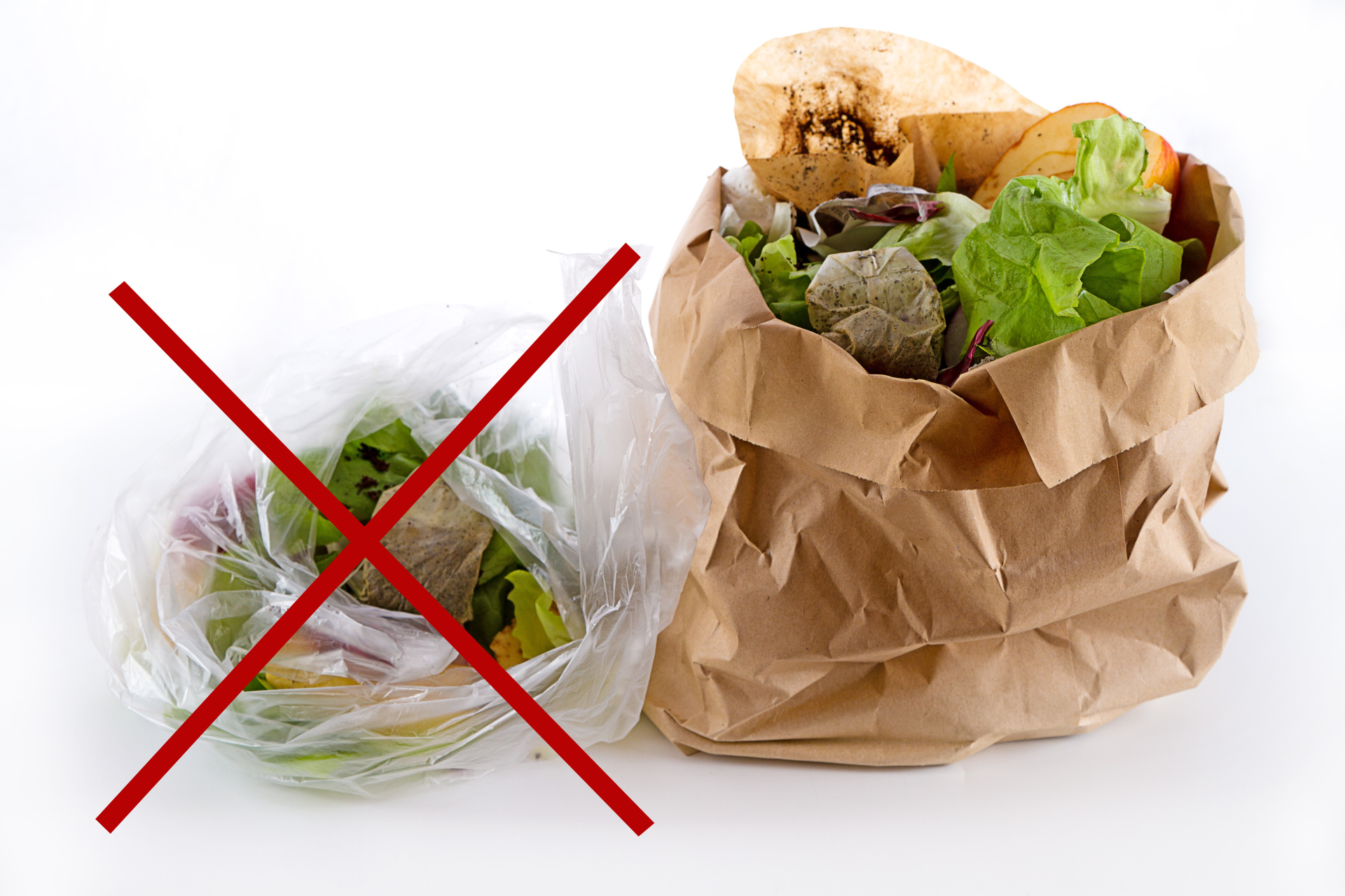 Keine kompostierbaren Plastiktüten in die Biomülltonne