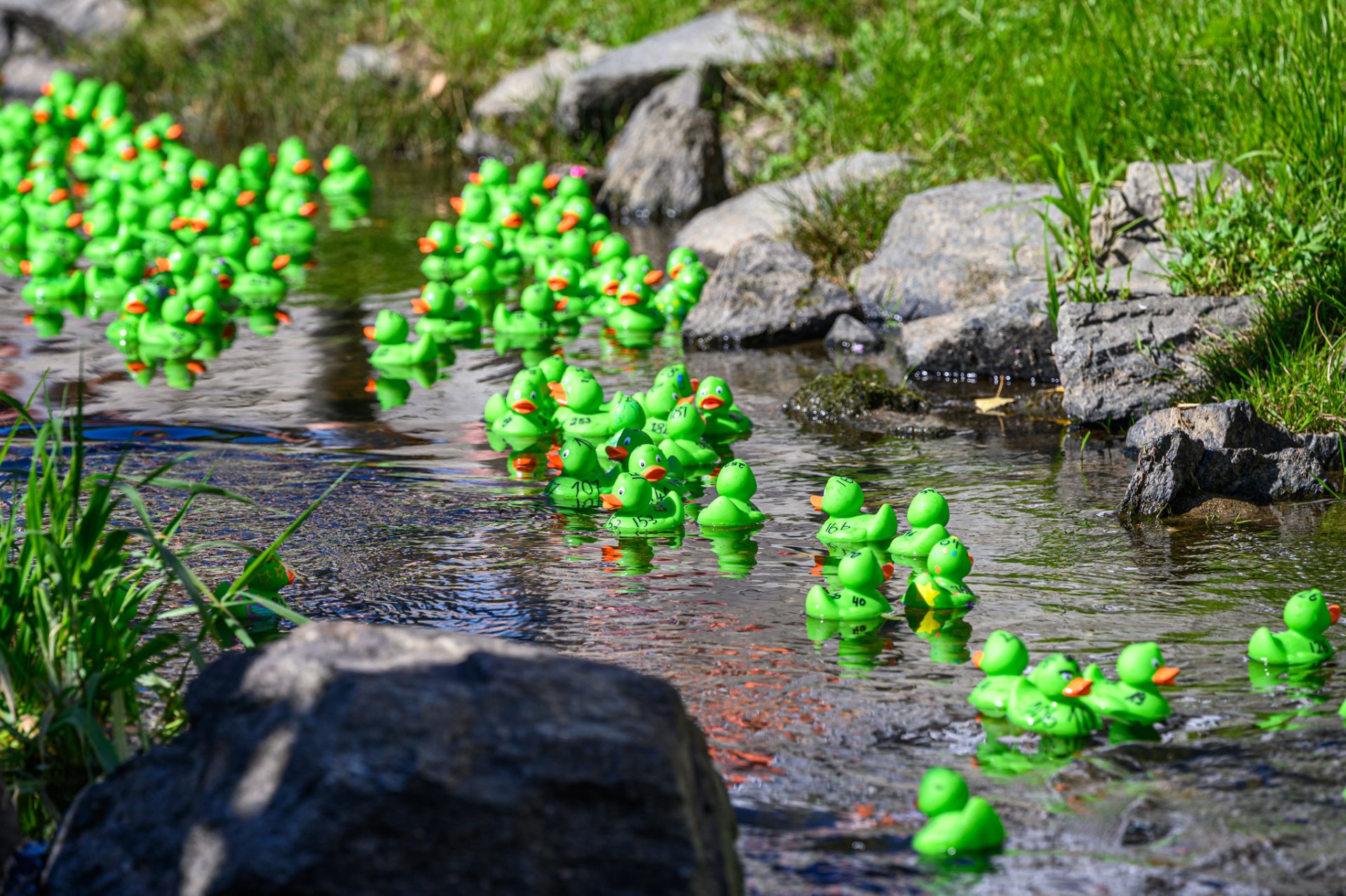 Foto Patrick Findeiß