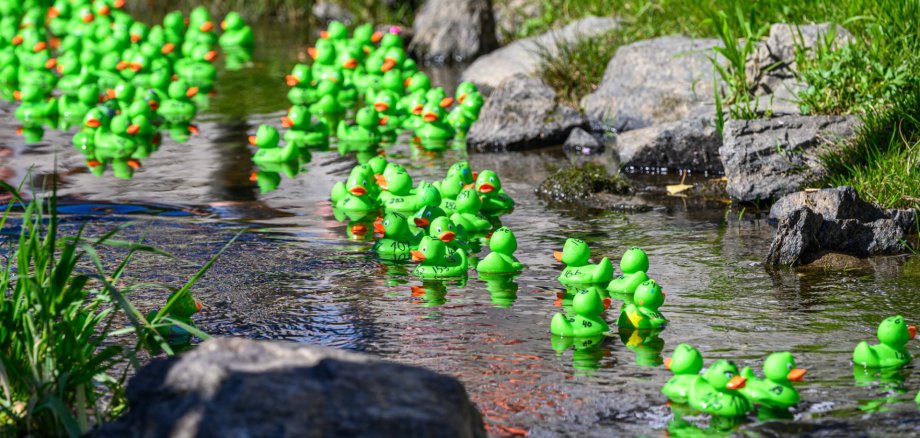 Foto Patrick Findeiß