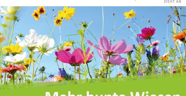Mehr bunte Wiesen für Münchberg.jpg