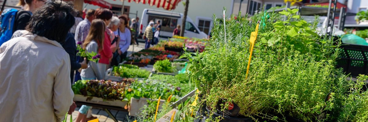 Heimatmarkt2.jpg