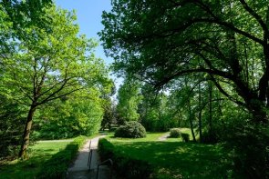Stadtpark.jpg
