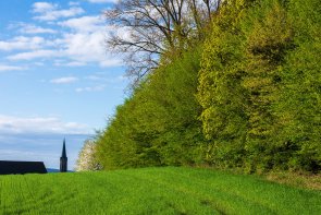 Wandern1.jpg